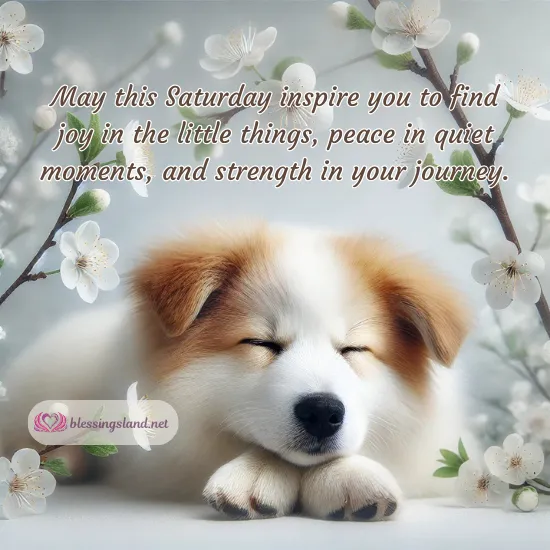 Adorable puppy resting peacefully, embracing the serenity of Saturday.