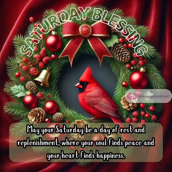 Red cardinal surrounded by wreath, wishing a serene Saturday blessing.