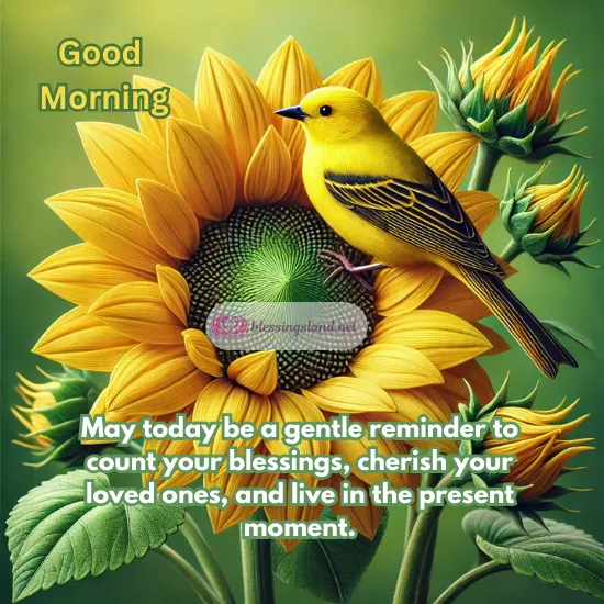 Saturday blessings with yellow bird perched on radiant sunflower bloom.