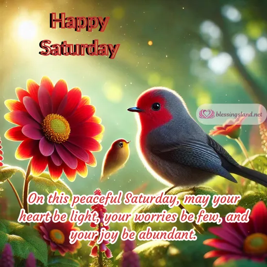 Happy Saturday blessings with vibrant flowers and cheerful red birds.