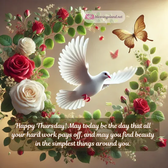 Thursday highlighting dove and roses symbolizing beauty and peace.