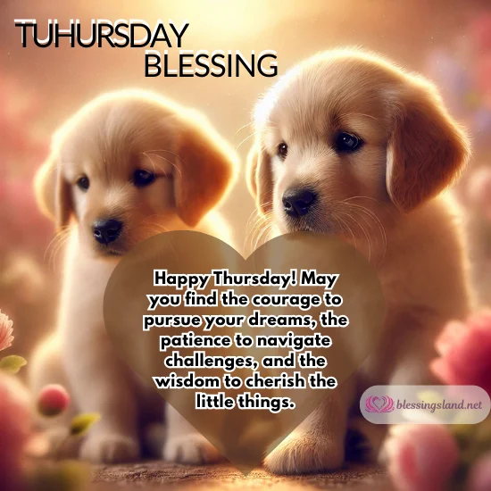 Thursday with adorable puppies inspiring courage, patience, and positivity.