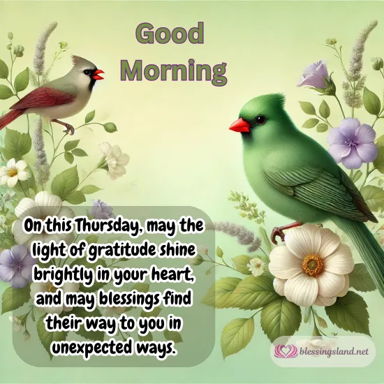 Good Morning Thursday with green and red birds spreading gratitude.