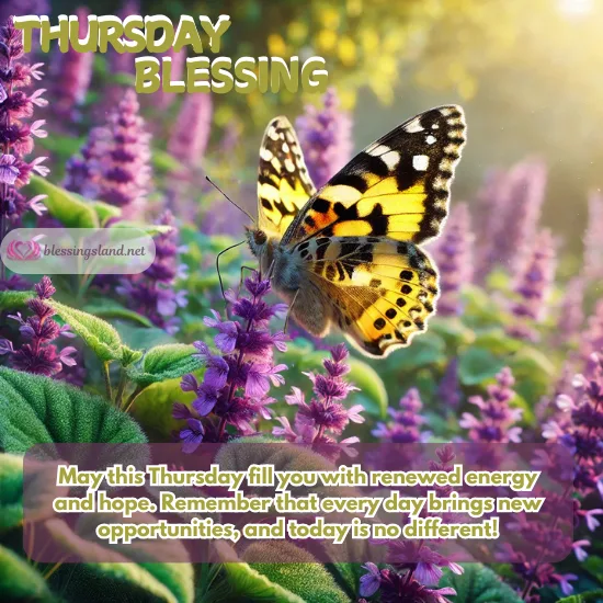 Thursday with butterfly among lavender flowers, radiating hope and positivity.