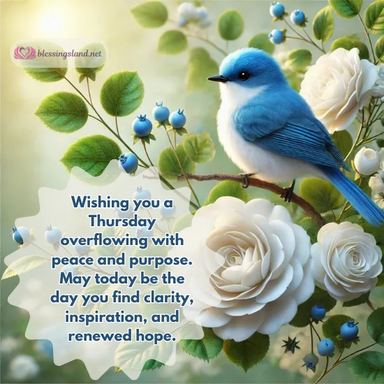 Thursday: Bluebird among white roses radiating inspiration and hope.