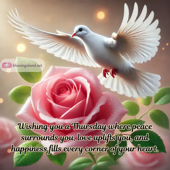 Thursday: A dove with a rose signifies peace and love.