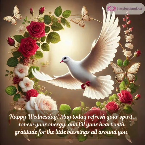 White dove in a floral wreath with roses and Wednesday wishes.