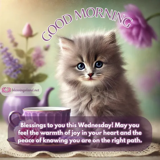 Fluffy kitten beside a purple cup, bringing joy on Wednesday. 