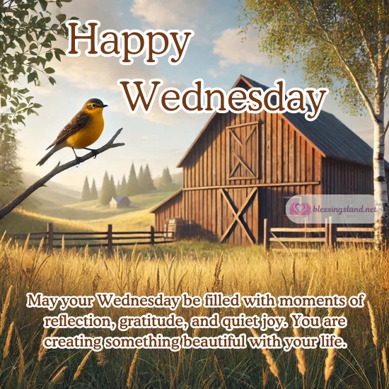 Wednesday blessings with a scenic barn, bird, and golden field.