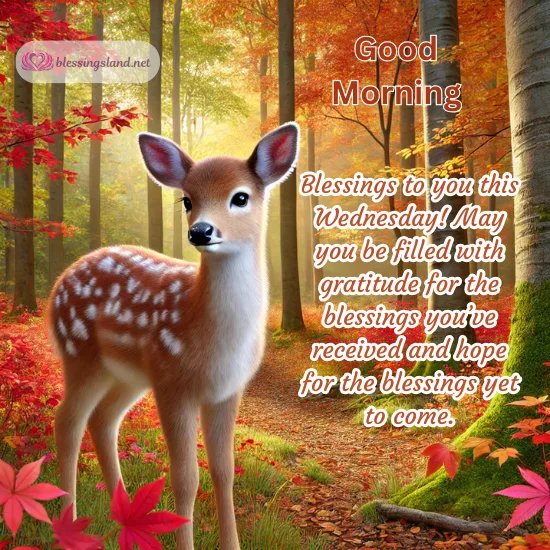 Gentle deer in autumn forest inspires gratitude for Wednesday moments.