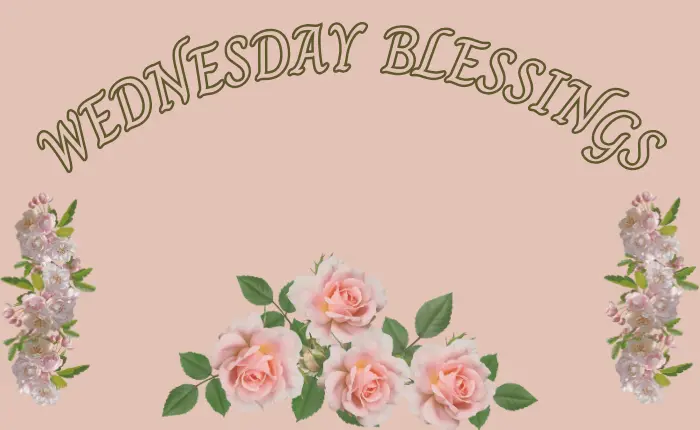 Wednesday Blessings